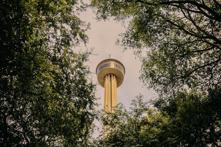 A tall observation tower amidst lush trees under a clear sky.